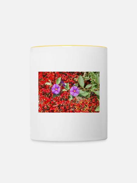 ENZIAN - Tasse zweifarbig - Weiß/Gelb