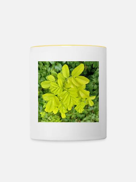 Japan-Rose / Be a difference maker - Tasse zweifarbig - Weiß/Gelb