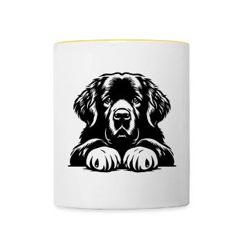 Terre-Neuve - Mug contrasté - blanc/jaune - Devant
