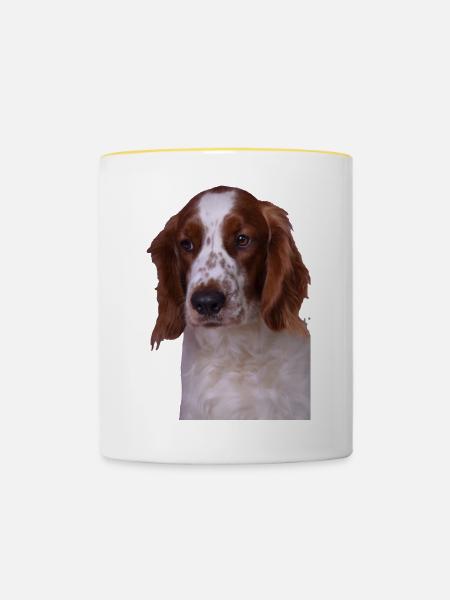 Welsh Springer Spaniel - Tasse zweifarbig - Weiß/Gelb