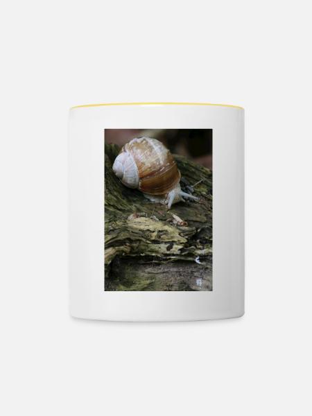 SCHNECKE - Tasse zweifarbig - Weiß/Gelb