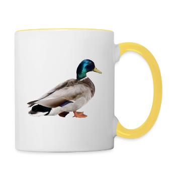 Colvert mâle - Mug contrasté - blanc/jaune - Droite