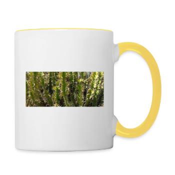 Kanarischer Gorgeus-Kaktus - Tasse zweifarbig - Weiß/Gelb - Rechts