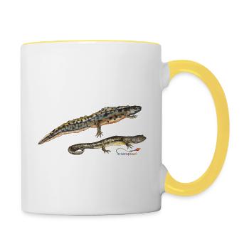 Teich-Molche - Tasse zweifarbig - Weiß/Gelb - Rechts