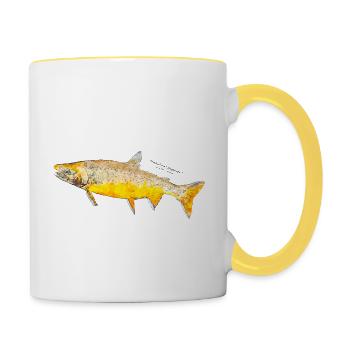 Zuger Roetel im Art Design - Tasse zweifarbig - Weiß/Gelb - Rechts