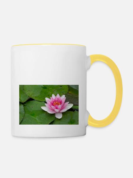 Seerose - Tasse zweifarbig - Weiß/Gelb