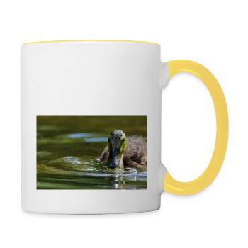 000 1170 DxO - Contrasting Mug - white/yellow - Right