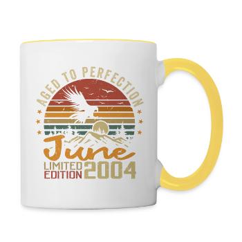 Vintage Juin 2004 Juin 2004 né en Juin 2004 Rétro - Mug contrasté - blanc/jaune - Droite
