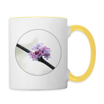 zarte pinkweiße Blüte weiße Blüte pinke Blume - Tasse zweifarbig - Weiß/Gelb - Rechts