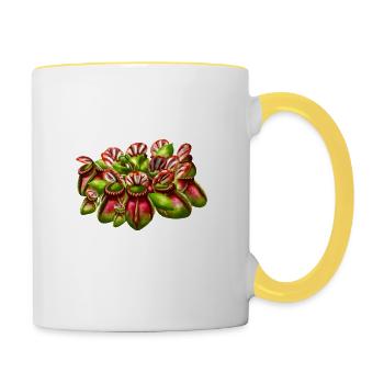 Plante carnivore Carnivores Cephalotus - Mug contrasté - blanc/jaune - Droite