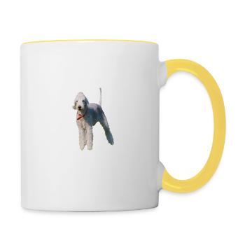 Bedlington Terrier Hund - Bedlington Terrier - Tasse zweifarbig - Weiß/Gelb - Rechts
