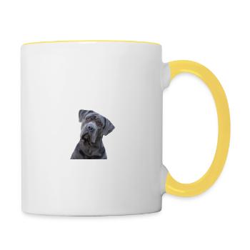 Vorsicht - Bissiges Frauchen - Cane Corso - Tasse zweifarbig - Weiß/Gelb - Rechts