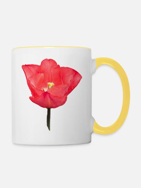Rote Tulpenblüte - Tasse zweifarbig - Weiß/Gelb