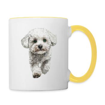 Bichon Frisé - Tasse zweifarbig - Weiß/Gelb - Rechts