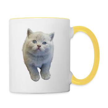 Kätzchen - Tasse zweifarbig - Weiß/Gelb - Rechts