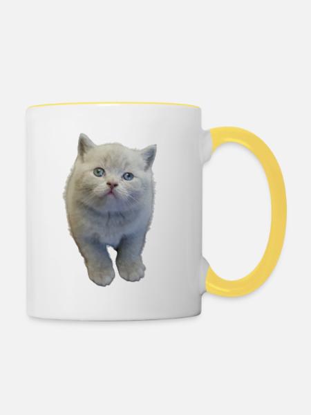 Kätzchen - Tasse zweifarbig - Weiß/Gelb