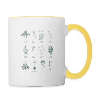 Botanical Wild Herbs Illustration - Forest Green - Contrasting Mug - white/yellow - Right