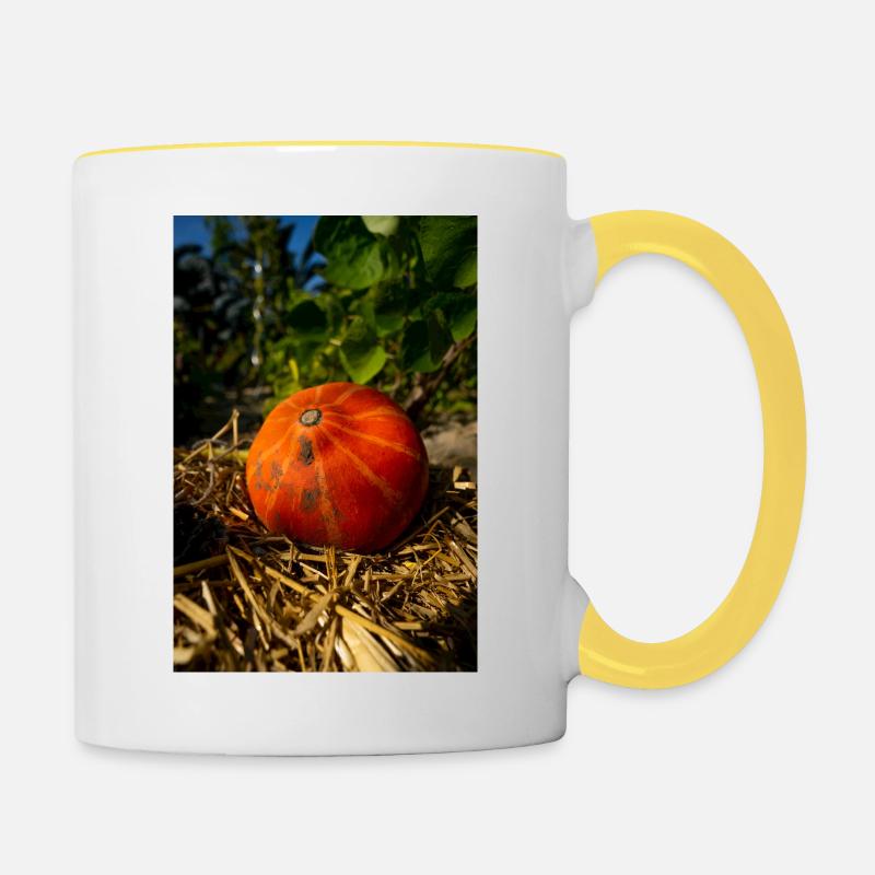 Pumpkin on straw. - Contrasting Mug - white/yellow