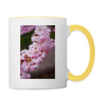 Kirschblüten Rosa - Tasse zweifarbig - Weiß/Gelb - Rechts