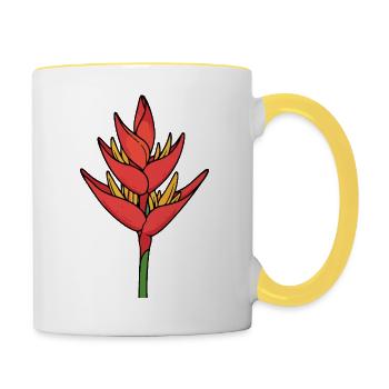 Lotus berthelotii - Tasse zweifarbig - Weiß/Gelb - Rechts