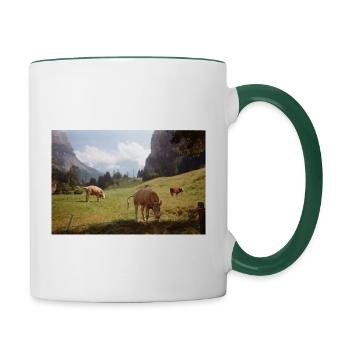 Vaches qui broutent - Mug contrasté - blanc/vert foncé - Droite