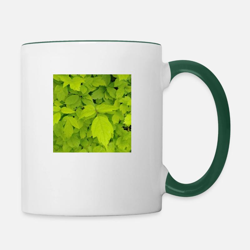 Ash maple / Acer negundo - Contrasting Mug - white/dark green