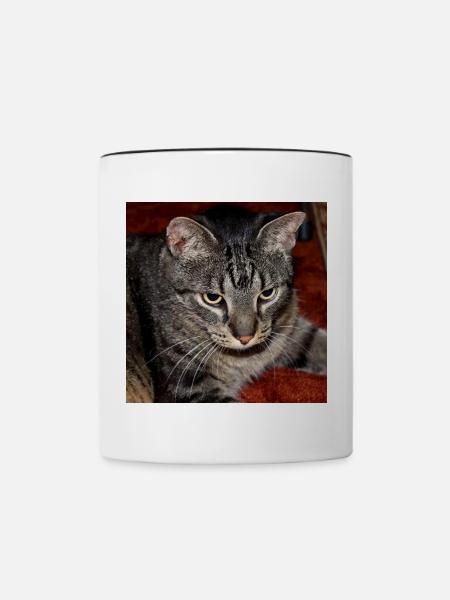 Katze Kätzchen - Tasse zweifarbig - Weiß/Schwarz