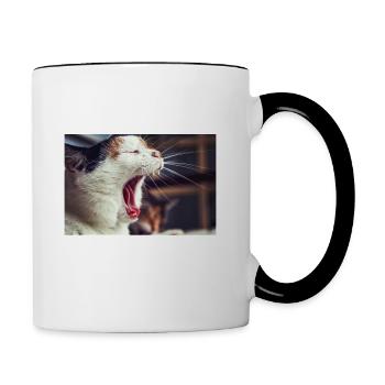 ME AFTER DOING ABSOLUTELY NOTHING ALL DAY - Contrasting Mug - white/black - Right