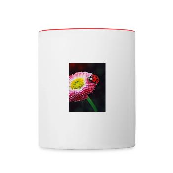 Ladybug on a flower - Contrasting Mug - white/red - Front