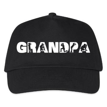Funny Bird Watching Grandpa Hobby Observer Gift Da - Kids’ Baseball Cap - black - Front