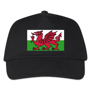 Welsh Flag - Flag of Wales - Kids’ Baseball Cap - black - Front