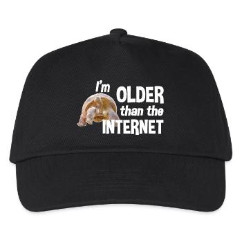 I'm older than the Internet - Turtle - Kids’ Baseball Cap - black - Front