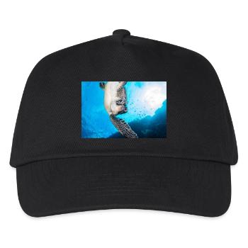 Schildkröte - Kinder Basecap - Schwarz - Vorne