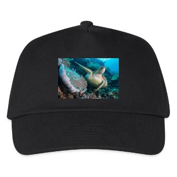 Schildkröte - Kinder Basecap - Schwarz - Vorne