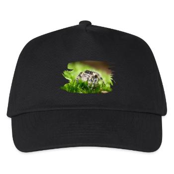Phidippus bidentatus jumping spider spring spinne - Casquette de baseball Enfant - noir - Devant