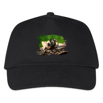 phidippus otiosus jumping spider, spring spinne - Casquette de baseball Enfant - noir - Devant