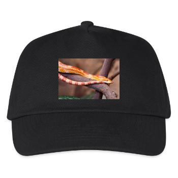 serpent des blés également serpent rat rouge (Kornnatter) - Casquette de baseball Enfant - noir - Devant