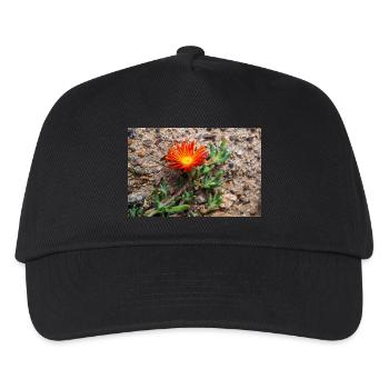 hängende Eisblume winterharte Eisblume rosa Karpfen - Kinder Basecap - Schwarz - Vorne