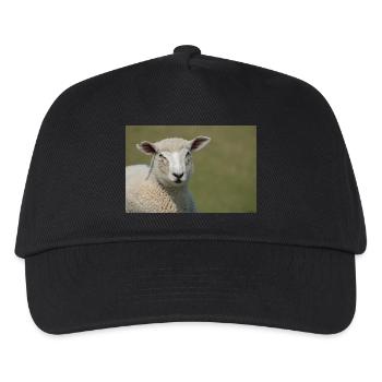 A Sheep on a Dike Northern Germany Poster - Kids’ Baseball Cap - black - Front