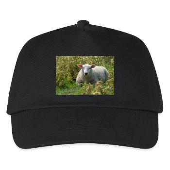Moutons allongés dans l’herbe - Affiche - Casquette de baseball Enfant - noir - Devant