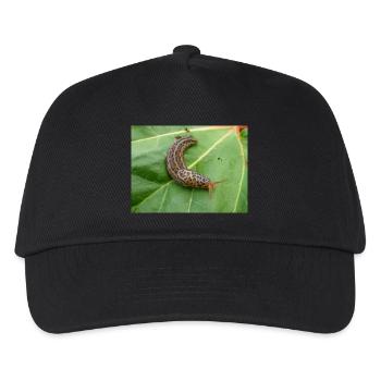 limace tigrée également grande limace grise Tigerschnegel - Casquette de baseball Enfant - noir - Devant