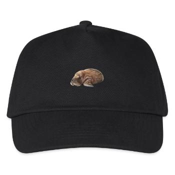 Walross - Kinder Basecap - Schwarz - Vorne