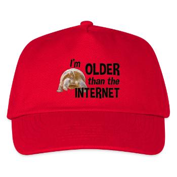 I'm older than the Internet - Turtle - Kids’ Baseball Cap - red - Front