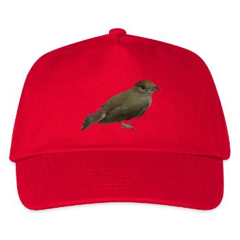 Fauvette à tête noire femelle - Casquette de baseball Enfant - rouge - Devant