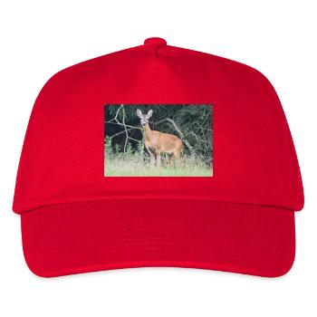 Reh Wald - Kinder Basecap - Rot - Vorne