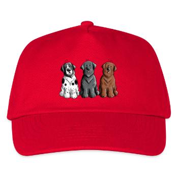 Neufundländer Trio - Kinder Basecap - Rot - Vorne