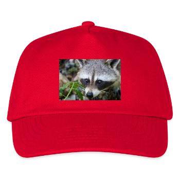 Raccoon - Kids’ Baseball Cap - red - Front