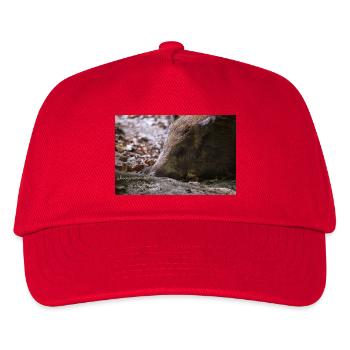 fabiolous world Schweinehund - Kinder Basecap - Rot - Vorne