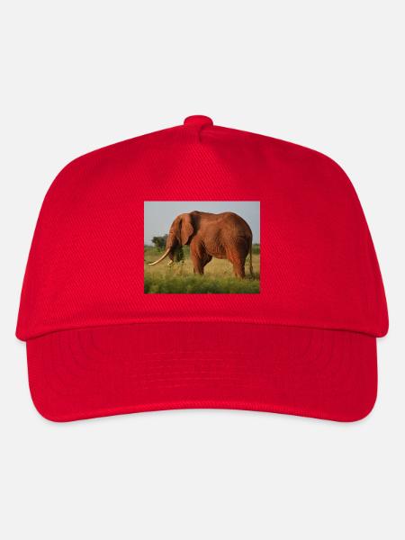 Elefant auf Savanne - Kinder Basecap - Rot