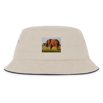Éléphant sur la savane - Bob Enfant - blanc cassé/bleu marine - Devant